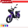 BICIPOWER EVOLUTION MORADA 48V45AH