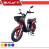 BICIPOWER EVOLUTION ROJA 48V45AH