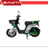 BICIPOWER EVOLUTION VERDE 48V45AH