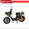 BICIPOWER EVOLUTION AMARILLA 48V45AH
